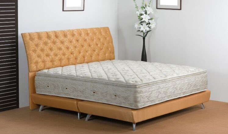 5 Amazing Adventure of Ortho Mattress.